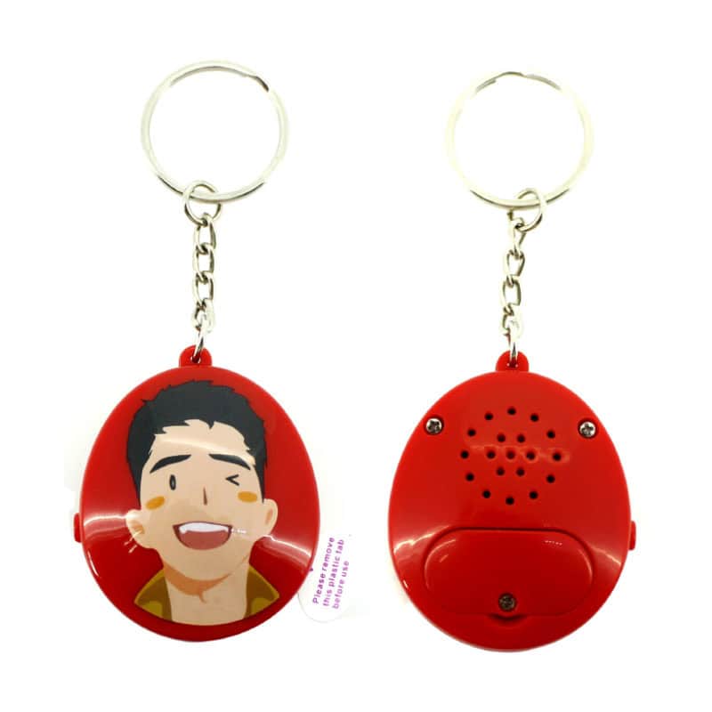 Voicekey-holder.jpg